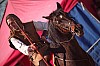 DSC07755_DxO