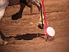 DSC07758_DxO