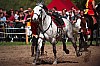 DSC07828_DxO