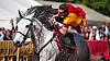 DSC07849_DxO