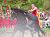 DSC07854_DxO