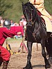 DSC07884_DxO
