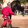 DSC07899_DxO
