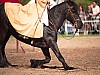 DSC07901_DxO