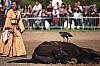 DSC07988_DxO