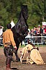 DSC07989_DxO